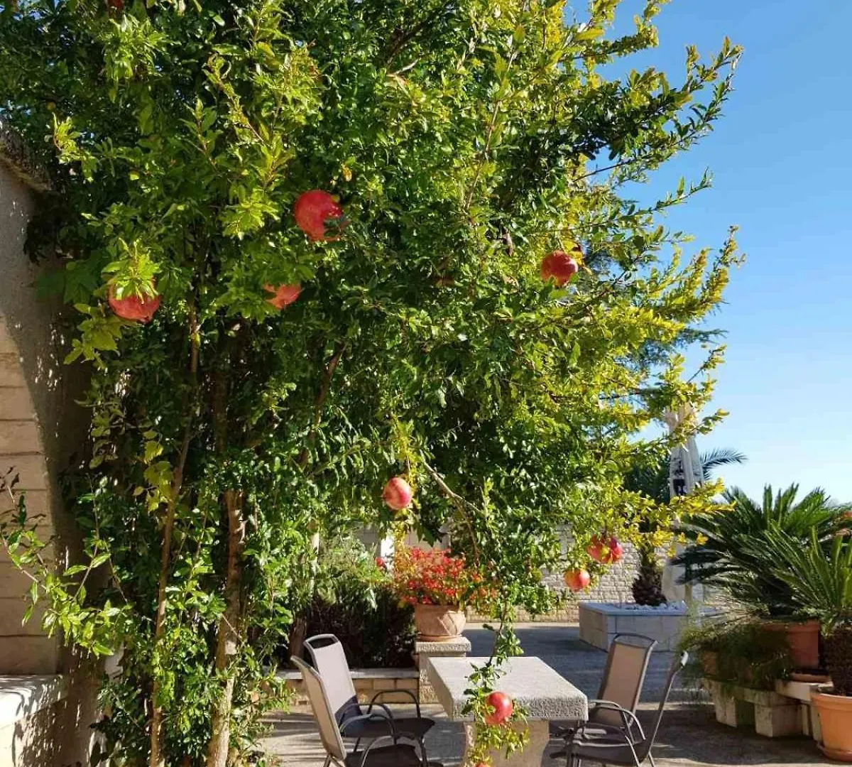 Apartman Holiday Home Silwy Buici